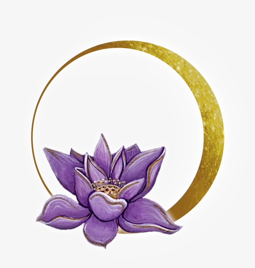 Drawn Lotus Transparent Lotus - Moon Lotus, transparent png