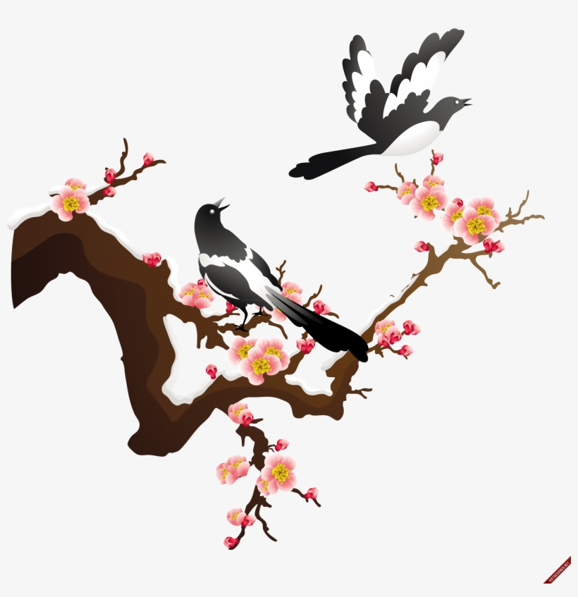 Lotus Png - Google Search - Japanese Apricot Flower Vector, transparent png