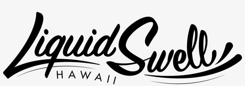 Download File - Download, transparent png