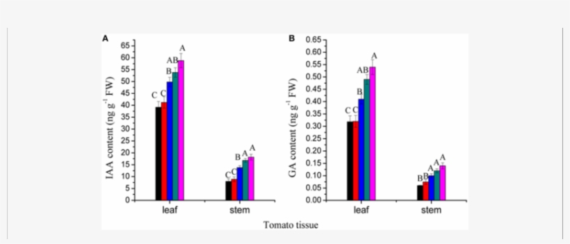 Effects Of Red Light Night Break (nb) On Phytohormone - Diagram, transparent png