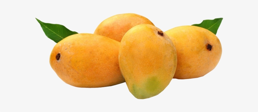Mango - Mango Alphonso, transparent png
