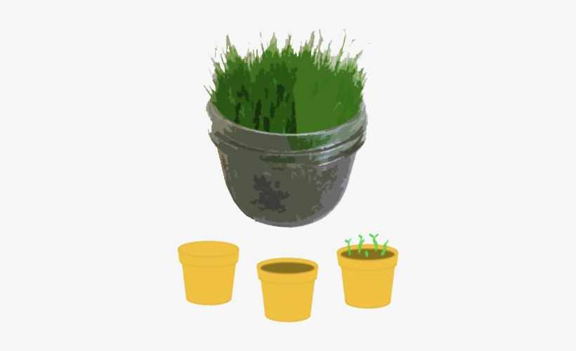 Backgrounds 1423861730 Grass Activity - Flowerpot, transparent png