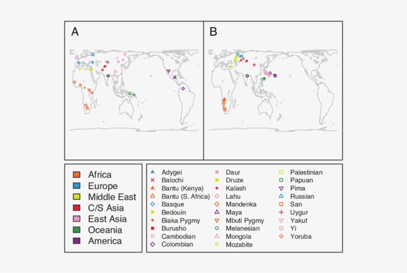 Procrustes Analysis Of Genetic And Geographic Coordinates - Procrustes Transformation, transparent png
