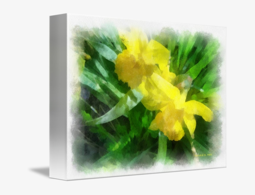 Bring - Cowslip, transparent png