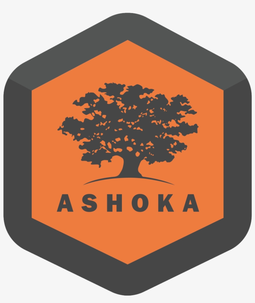 Social Intrapreneurship For Innovation In Health And - Png Ashoka Logo, transparent png