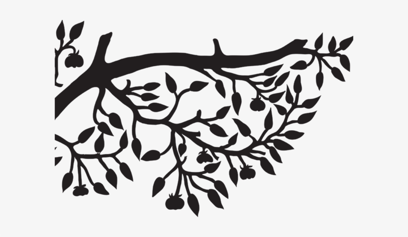 Jj Grey And Mofro Ol Glory, transparent png