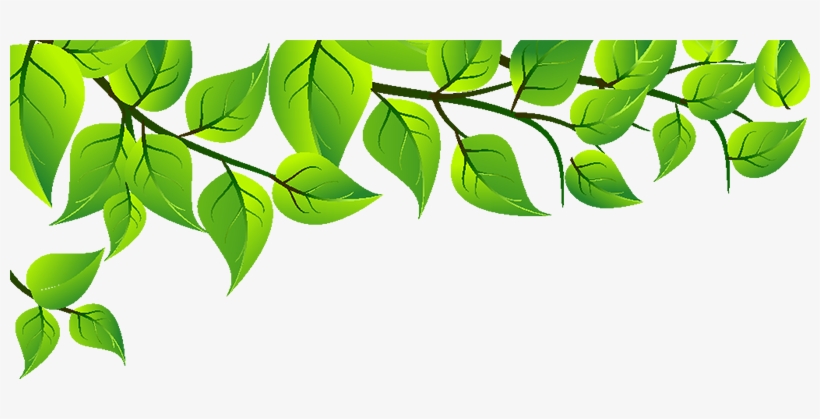 Sun Enviro Offers Complete Solution For Treating Effluent - Leaf, transparent png