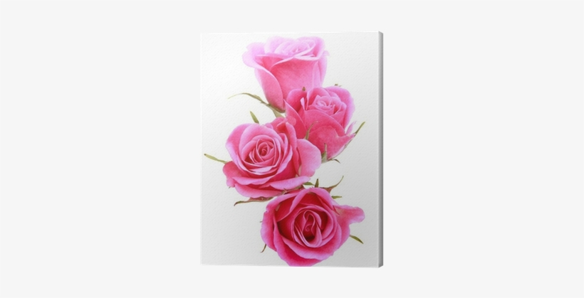 Pink Rose Flower Bouquet Isolated On White Background - Flower Bouquet, transparent png