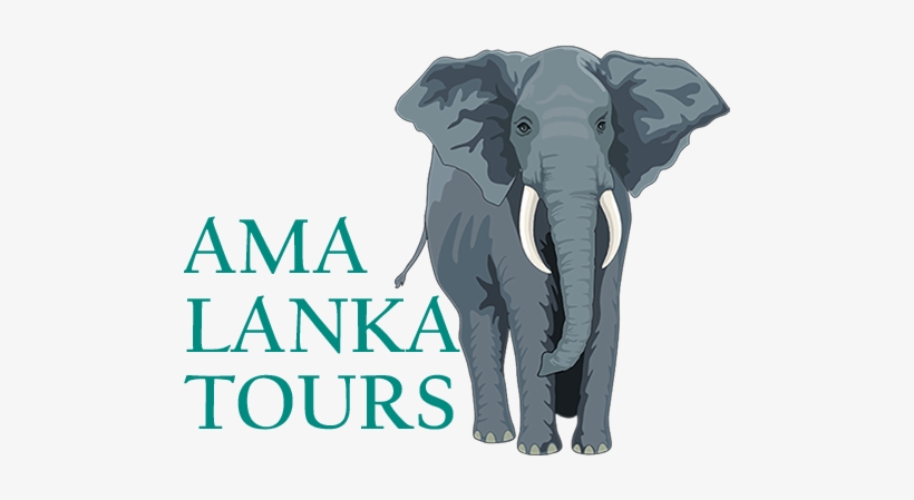 Ramayana Tour - Elephant And The Peg, transparent png
