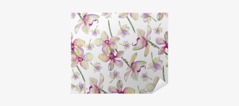 Orchid Flowers Watercolor Hand Drawn Botanical Illustration - Fondo De Salon De Belleza, transparent png