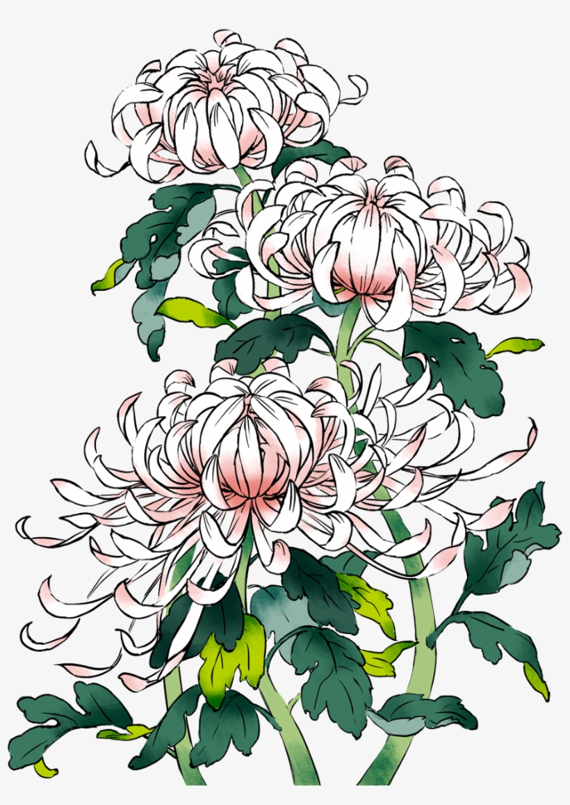Akky Http - Pixiv Flower, transparent png