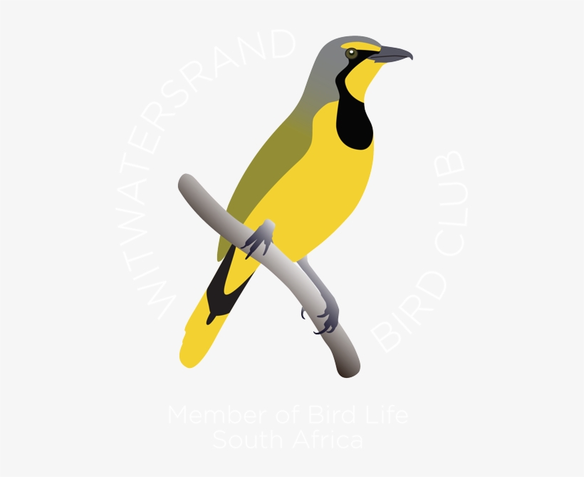 Wits Bird Club Logo Wits Bird Club Retina Logo - Logo, transparent png