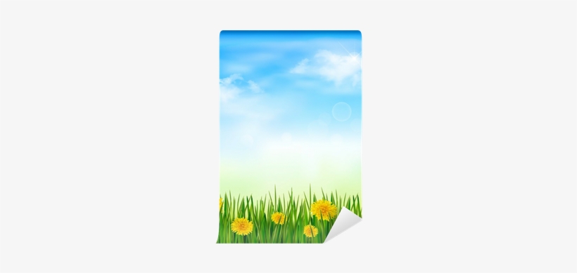 Nature Background With Green Grass And Flowers And - Display Device, transparent png