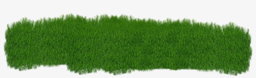 Grass Green Plant Green Grass Nature Summe - Herbe Verte Png, transparent png