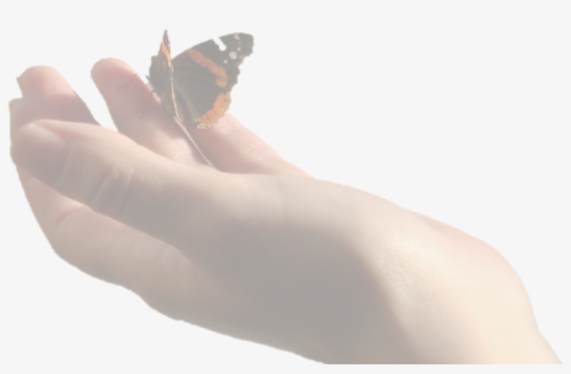 Mayan Astrology, Trips For The Soul, Inca Shamanism - Hand Butterfly Png, transparent png