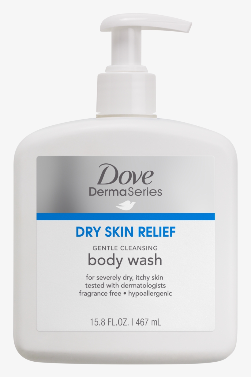 Dove, transparent png