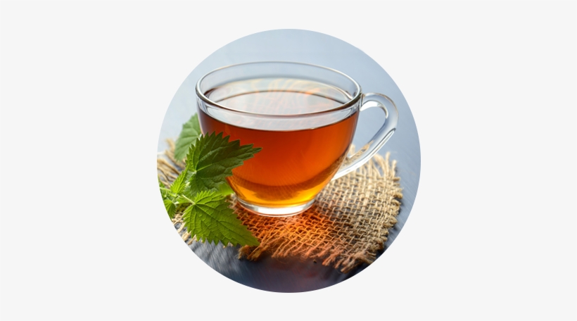 Tea - Herbal Tea, transparent png