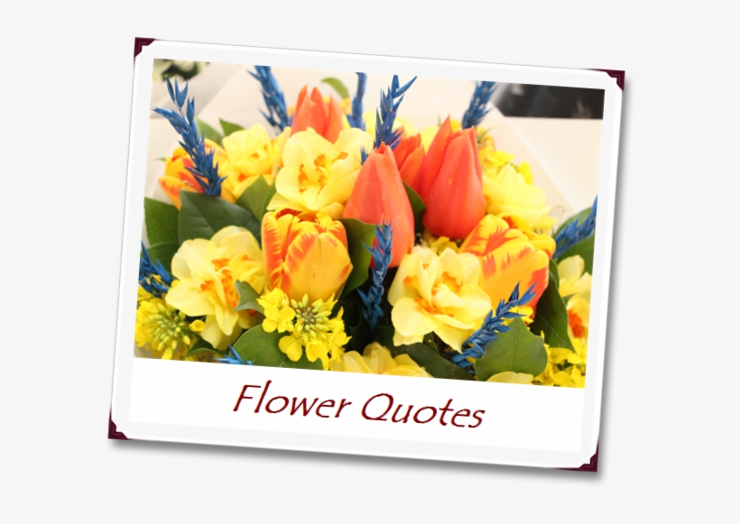 A Beautiful Bouquet Cannot Blossom Without Sunshine - Flower, transparent png