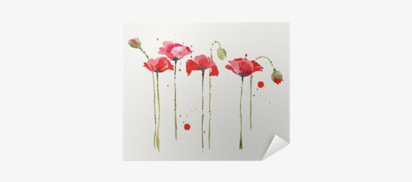 Watercolor Poppies Set - Akwarela Maki, transparent png