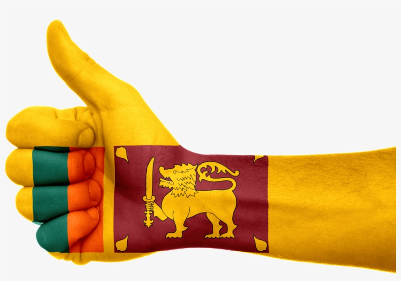 1 - - Sri Lanka Flag Images Free Download, transparent png