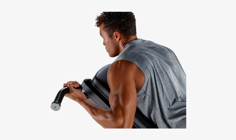 Physical Therapy, Home Fitness - Biceps Curl, transparent png