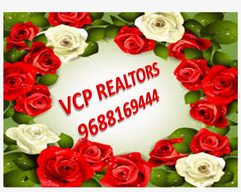 6 Gallery - Garden Roses, transparent png