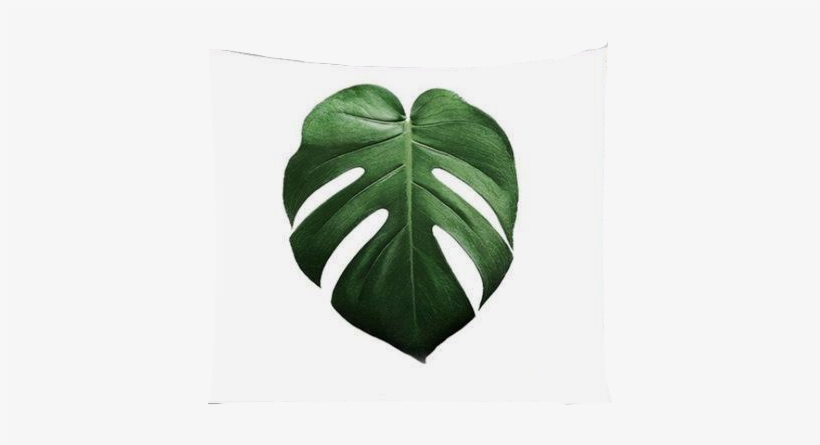 Nature Decor, Wall Decor, Deliciosa Tapestry, Beautiful - Monstera Deliciosa Poster, transparent png