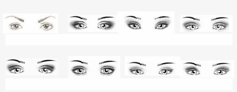 Crease And Contour Eyeshadow - Different Eye Shapes, transparent png