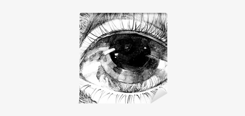 Painting, transparent png