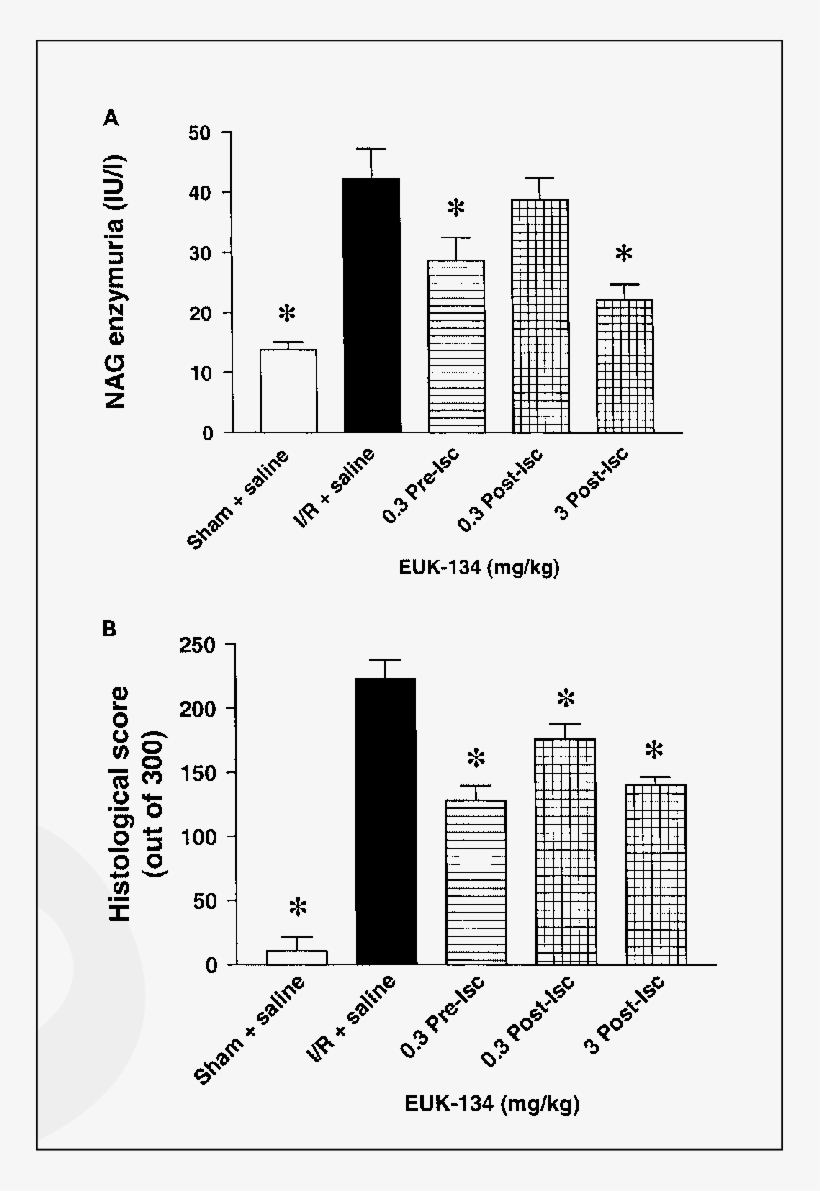 Effect Of Euk-134 On Glomerular Dysfunction Caused - Diagram, transparent png