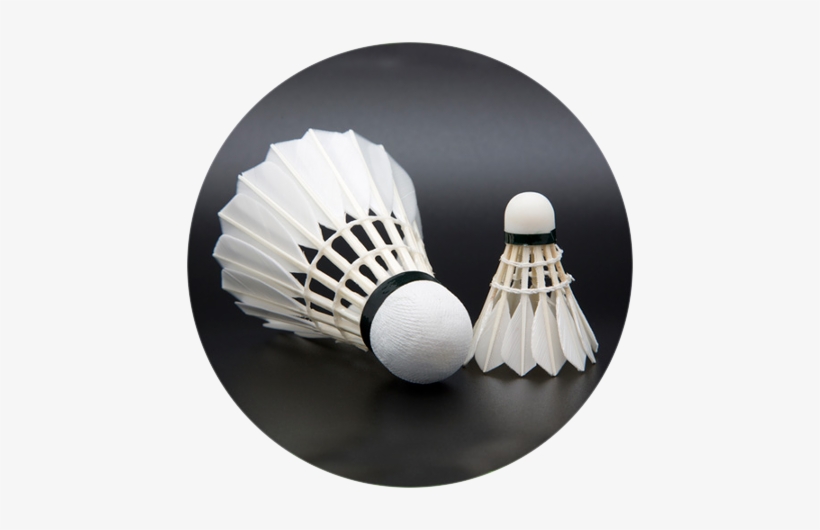 Badminton, transparent png