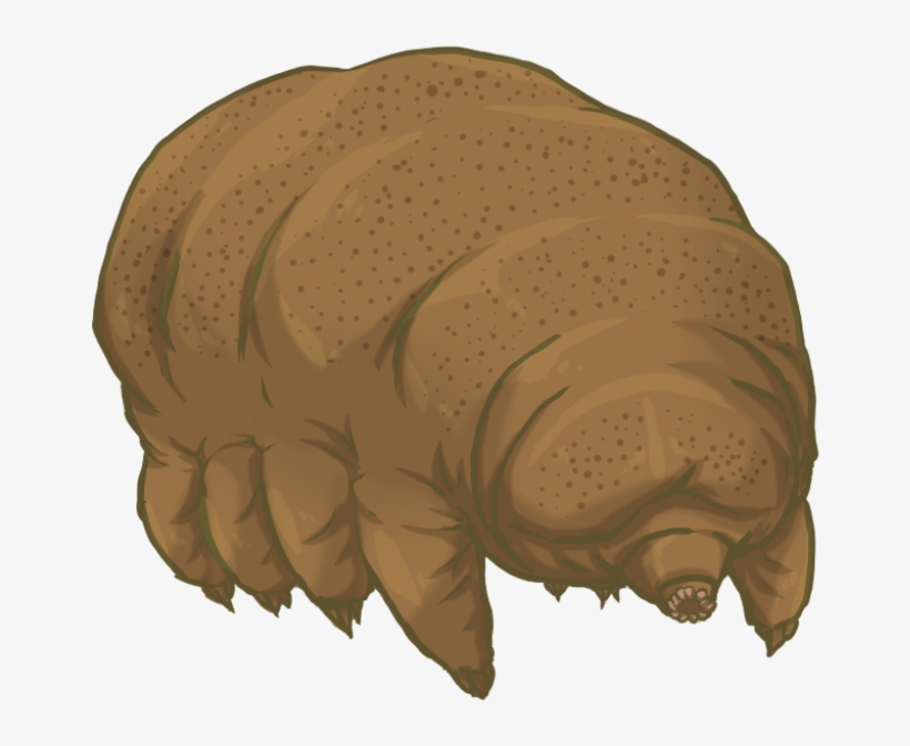 Animals Defy Nature Illinois Science Council Blog - Tardigrade Png, transparent png
