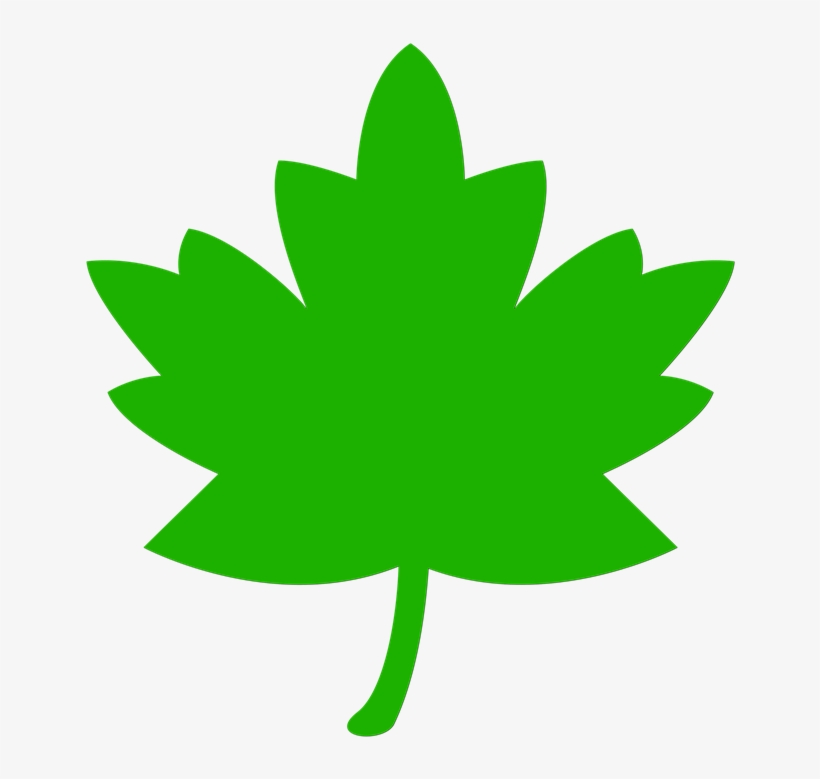 Icon Leaf Green Tree Nature Leaves - Green Paint Splatter Clip Art, transparent png
