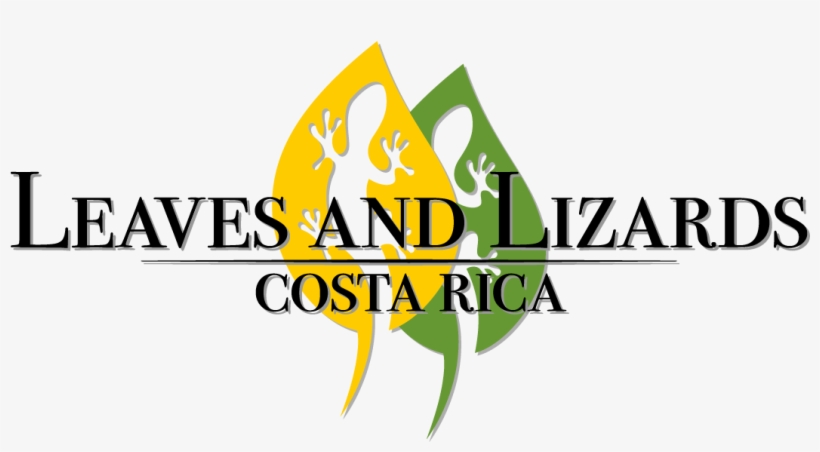 Leaves And Lizards Logo - Leaves And Lizards Arenal Volcano Cabin Retreat, transparent png