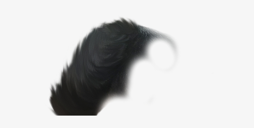 Hair Png - Hair, transparent png