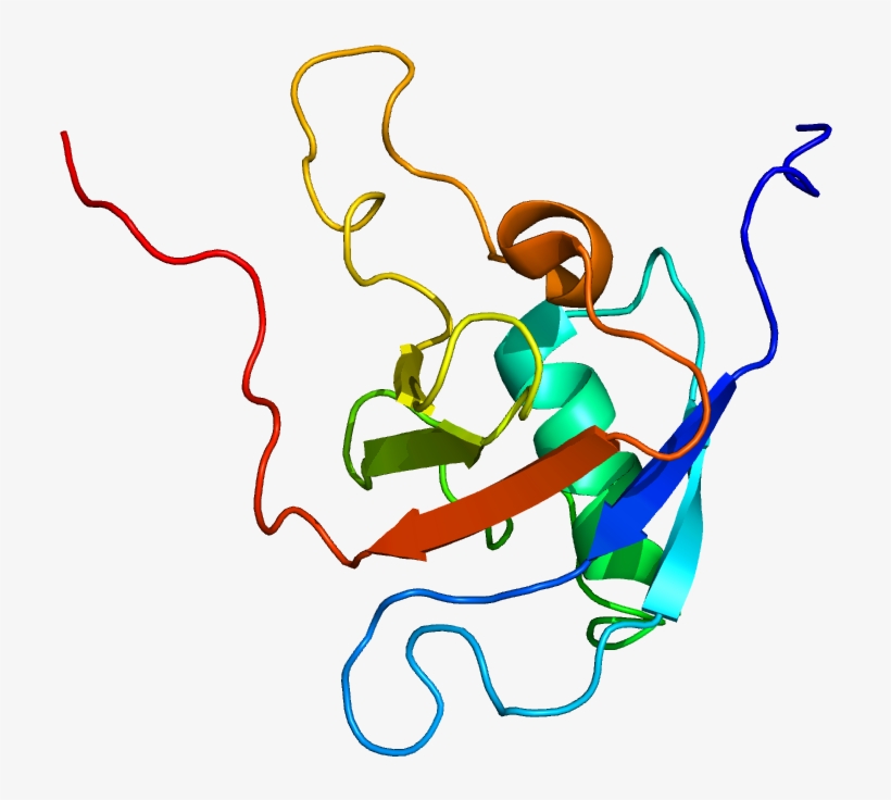 Protein Plxnb1 Pdb 2jph - Illustration, transparent png