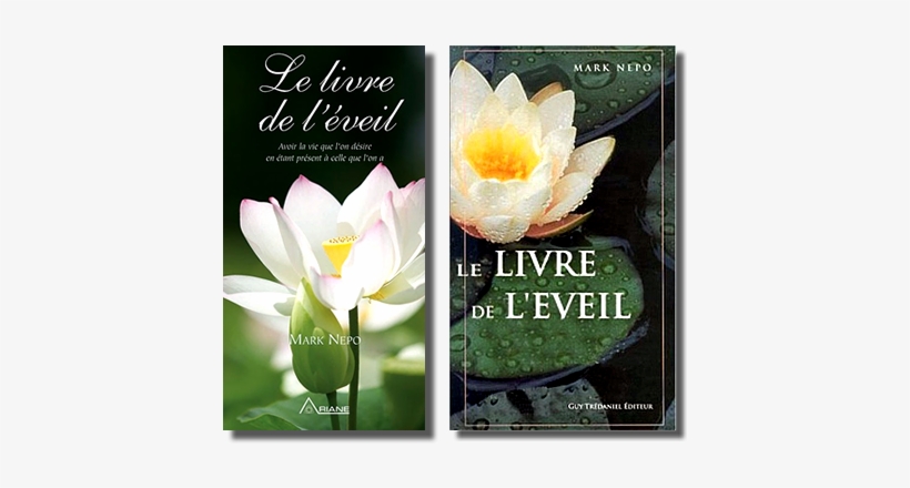 Case Study - Book Of Awakening: Having The Life You Want By Being, transparent png