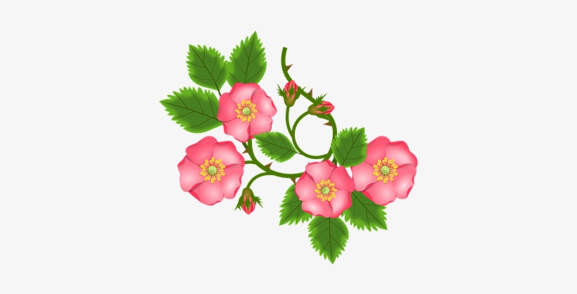 Rose Tendril, Bush Rose, Entwine, Branch - Clipart Flower Jewelry Png, transparent png