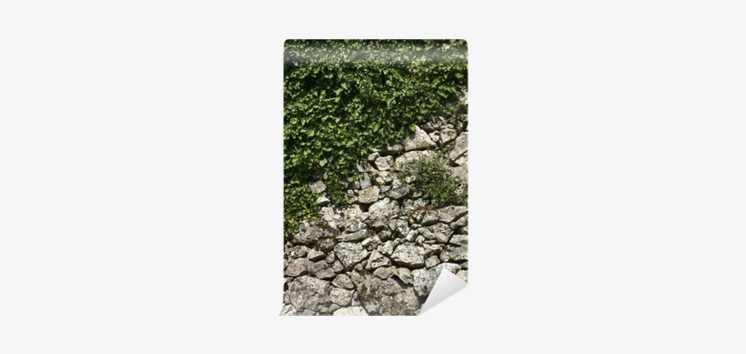 Stone Wall, transparent png