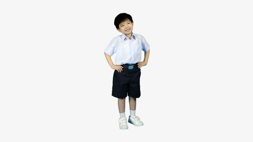 Primary School Boy White Shirt - White School Uniform Png, transparent png