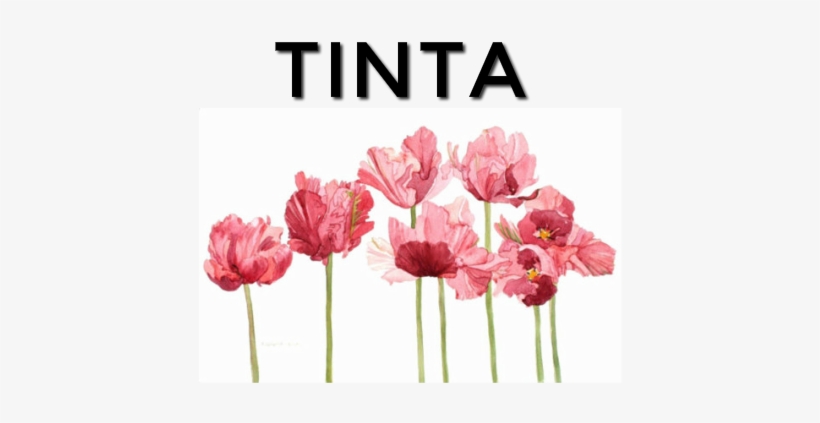 Tulip Watercolor, transparent png