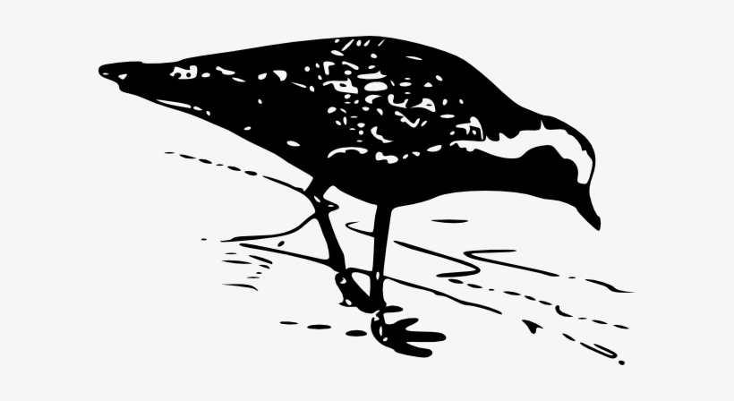 Free Vector Golden Plover Clip Art - 4 Types Of Field Bible, transparent png