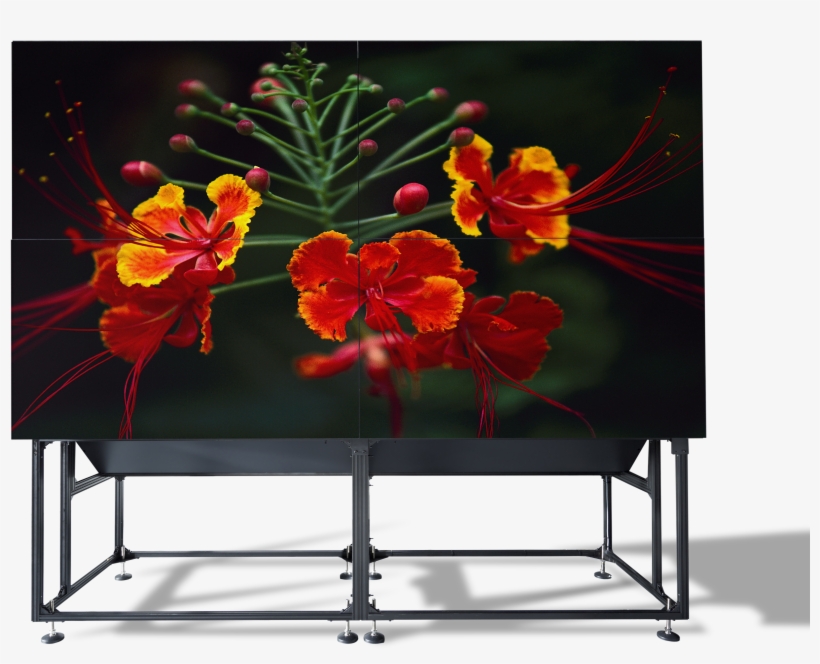 Overview Mvl Control Rooms Video Wall Rear-projection - Video Wall, transparent png