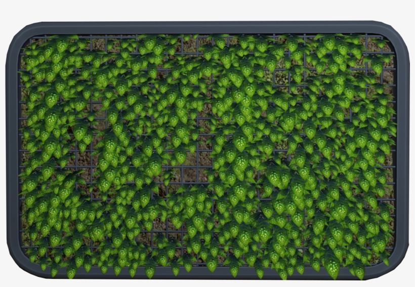 Abandoned Living Wall - Green Algae, transparent png