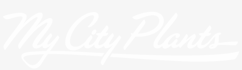 Help - Plan White, transparent png