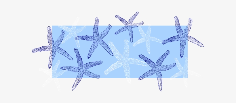 Free - Seashells Clipart Blue, transparent png