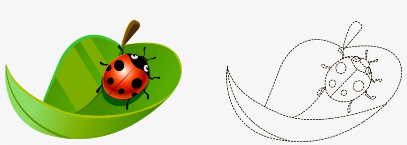 Coccinella Septempunctata Cartoon Painted Leaves Ladybird - Ladybird Beetle, transparent png