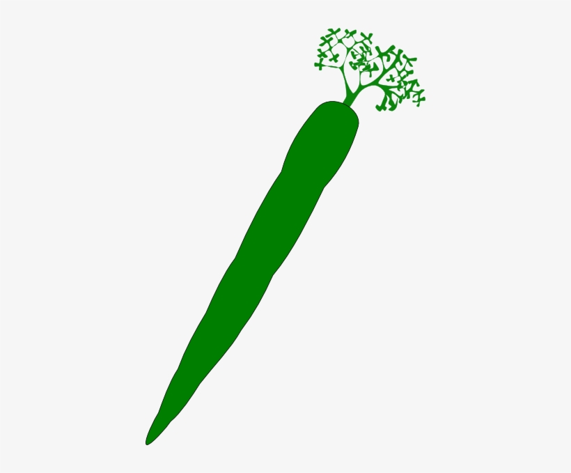 How To Set Use Green Carrot Clipart, transparent png