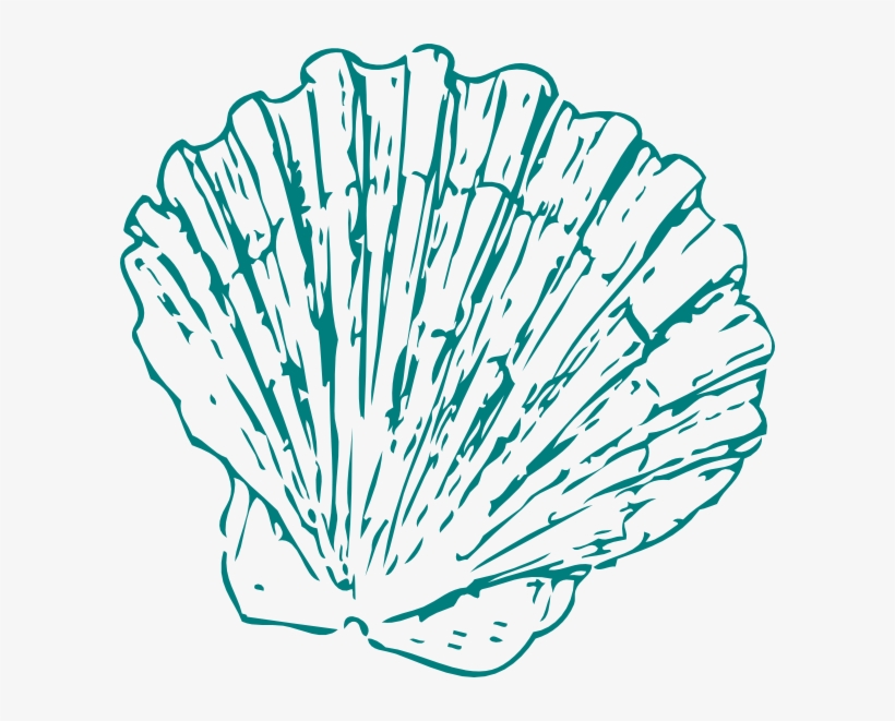 Wedding Clipart Seashell 2 - Sea Shell Vector Free, transparent png