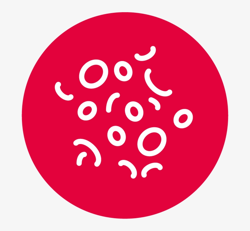 By Understanding What Causes Flare-ups, You'll Be Able - Circle, transparent png